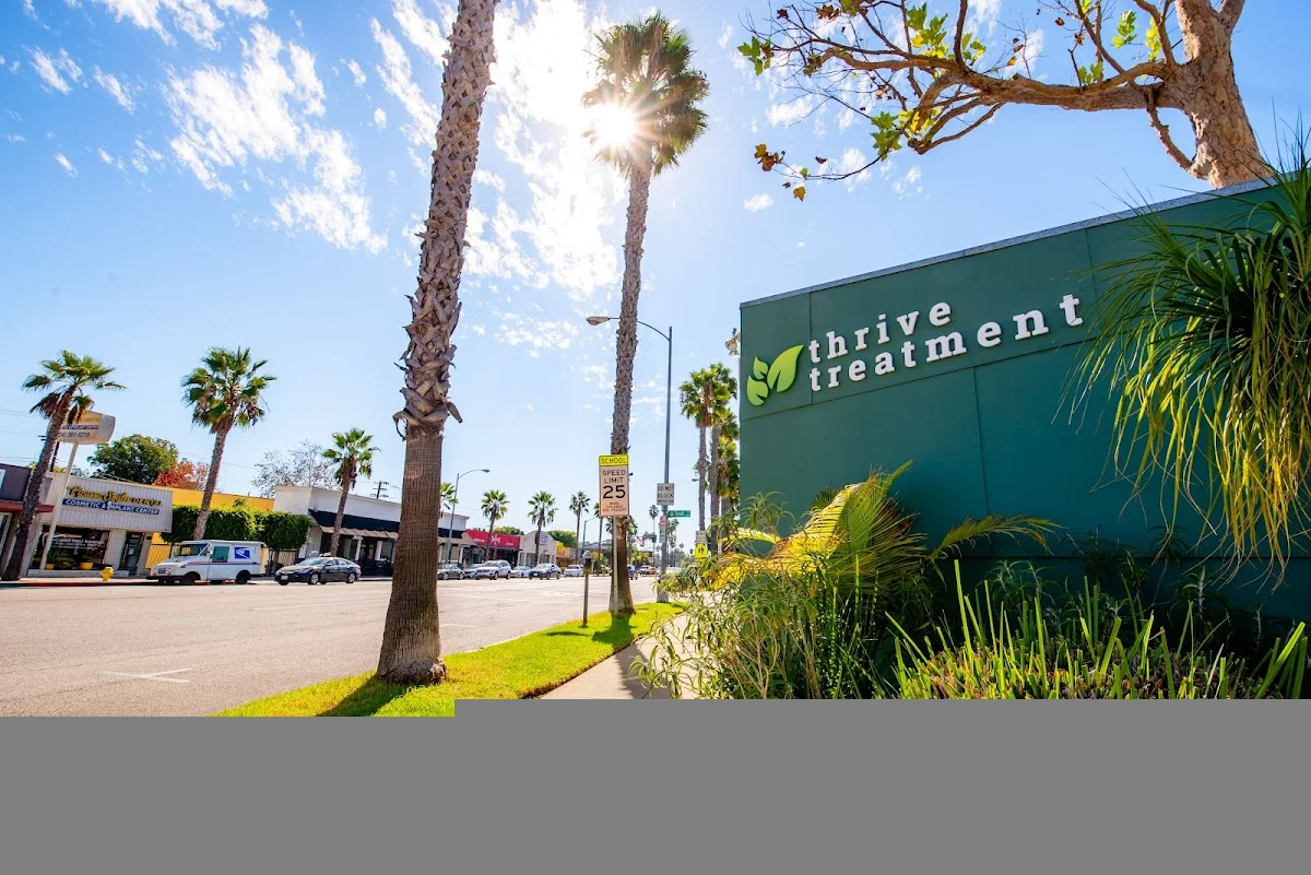 Thrive Treatment Los Angeles Drug Rehab & Mental Health Treatment - Photo 1