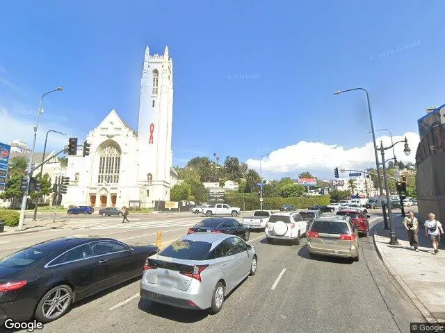 Hollywood Detox - Photo 6