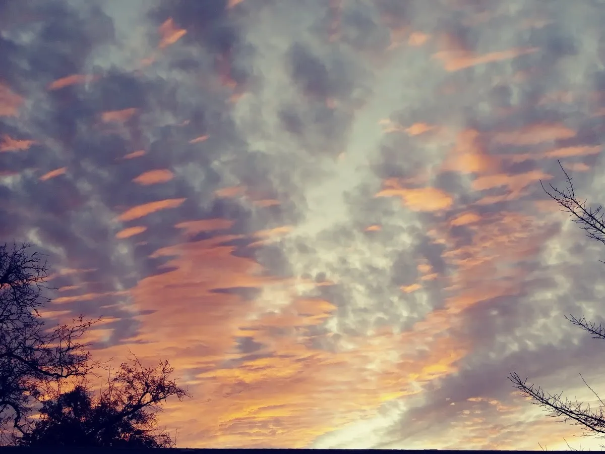 Skyway House Outpatient - Photo 2