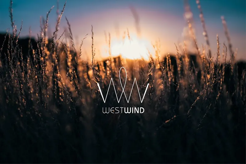 Westwind Recovery Sober Living - Photo 1