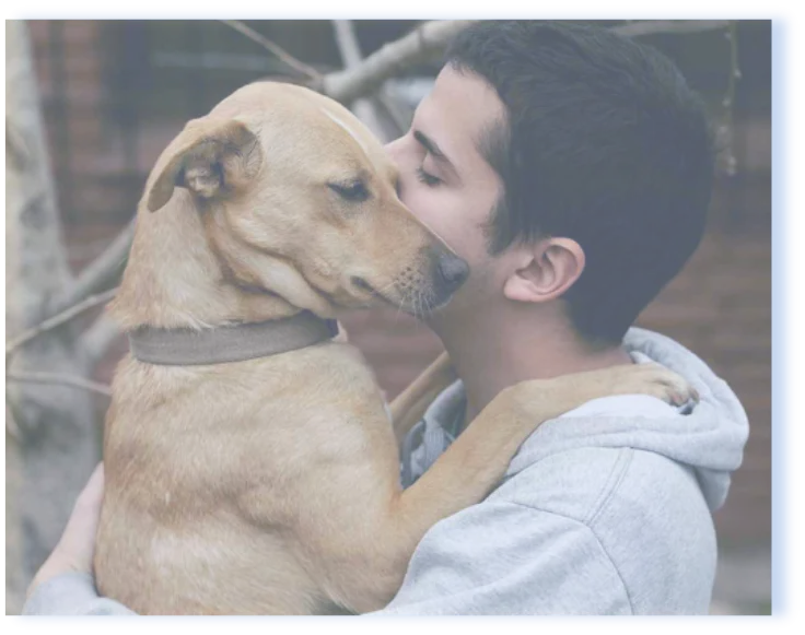 Clear Skies Ranch Stagg House - Sober Living - Photo 5