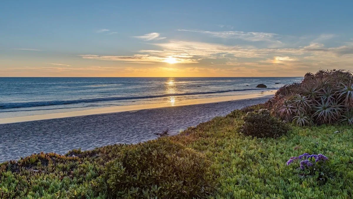 Carrara Treatment Center - Photo 3