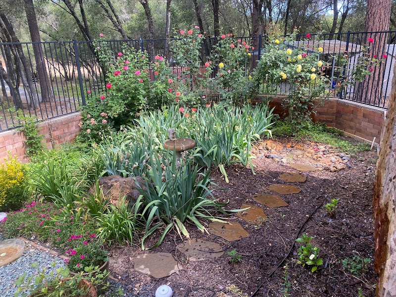 More To Life Recovery - Photo 5