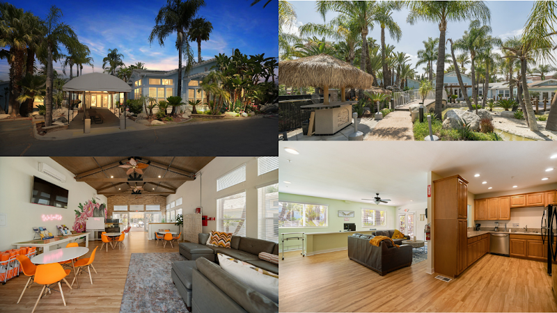 We Level Up California Llc