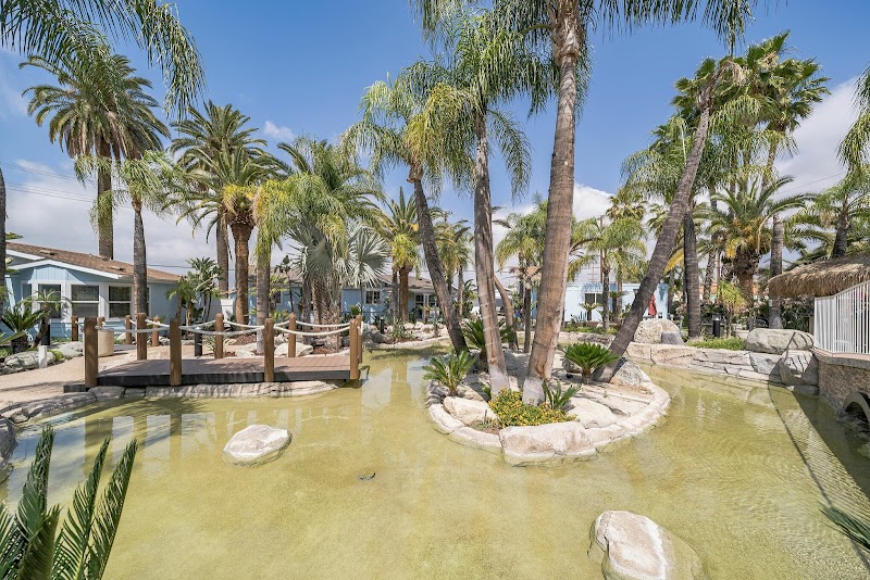 We Level Up California Llc - Photo 2