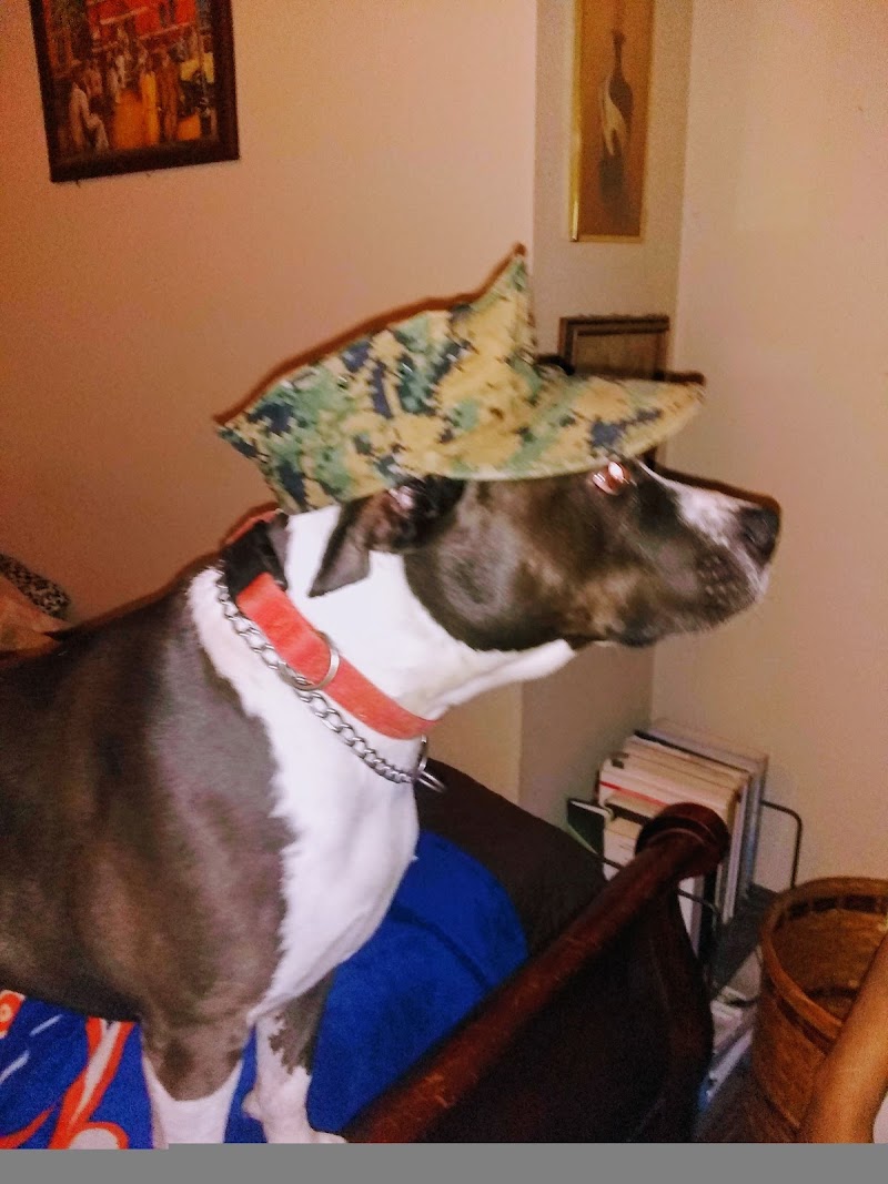 Transitions Buprenorphine Clinic Of Sacramento - Photo 3