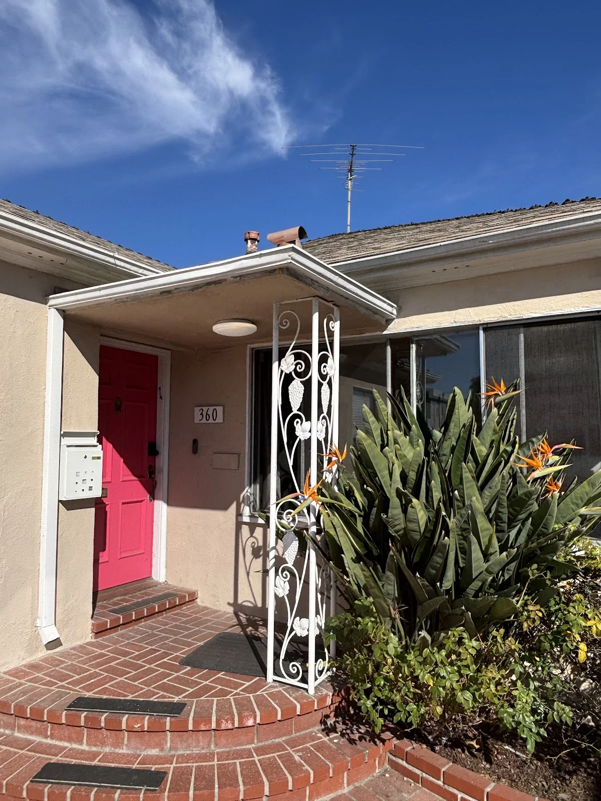 REVIVE Detox - Photo 3