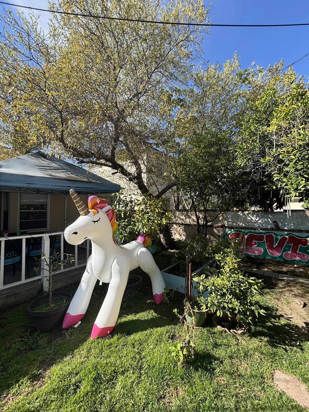 REVIVE Detox - Photo 5