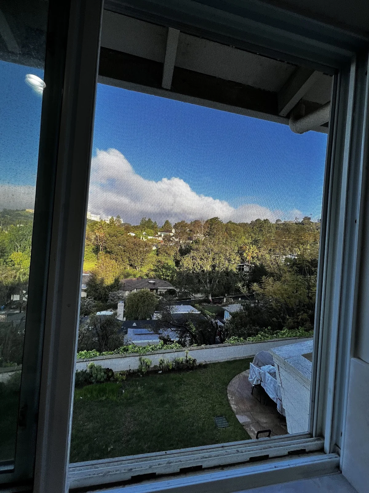 Novo Detox - Photo 2